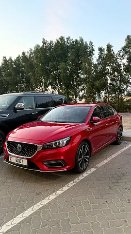 Mg6 Trophy
