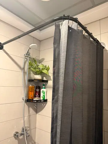Shower rod and magnetic curtain