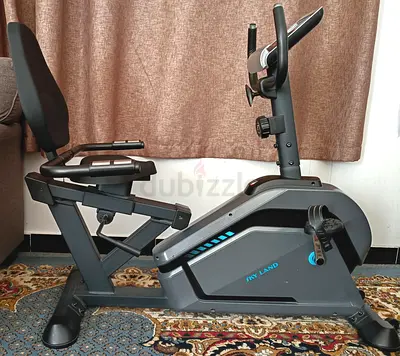 Skyland Recumbent Exercise Bike