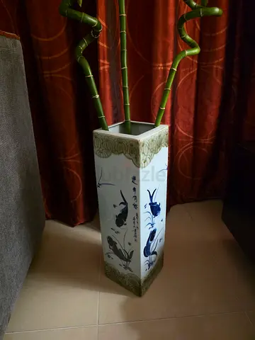 Lucky Bamboo