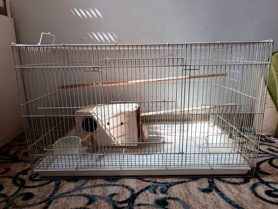 White metal bird cage with perches and removable tray - used
