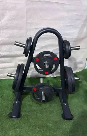 Insight Fitness weight Plates Rack