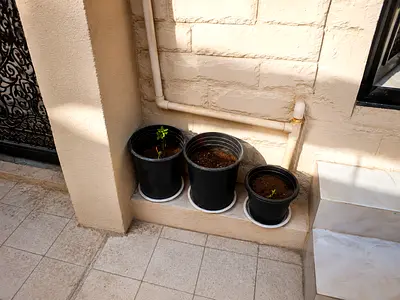 black plastic plant pots total 9 pots