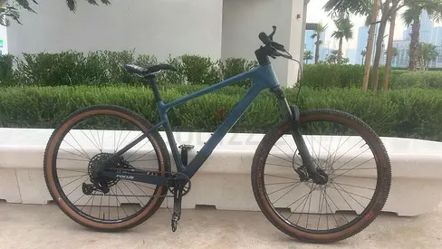 Focus carbon Mountain Bike