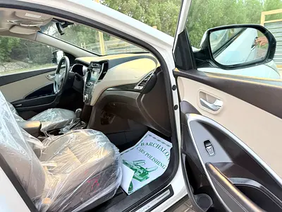 2017 Hyundai SANTA FE 缩略图 18
