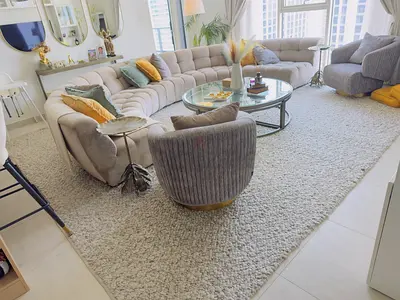 Large Light Grey $%&! Area Rug - Soft Plush, Excellent Condition from 2XL