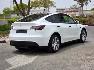 Tesla Model Y Long Range, миниатюра 14