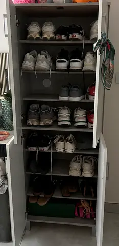 Cabinet for the shoes