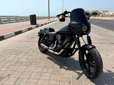 Harley Davidson - Dyna