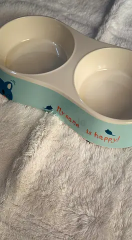 Two Cat feeder  and bed
