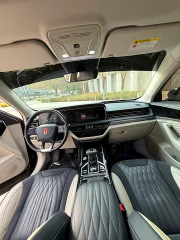 Hongqi HS5 Luxury Pro, миниатюра 11