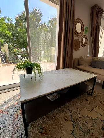Marble + Wooden Coffee Table