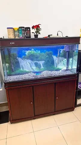Large Fish Tank with Wooden Cabinet Stand 120 cm 280L water capacity