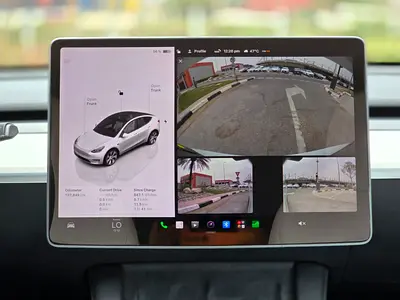 2024 Tesla MODEL Y 照片 4