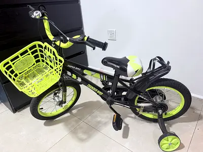 Kids 16-inch Thunderbird Bicycle with Training Wheels and Front Basket