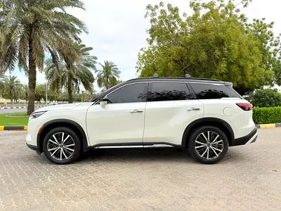 2024 Infiniti QX60 照片 6