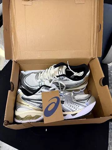 Asics gel kayano 14