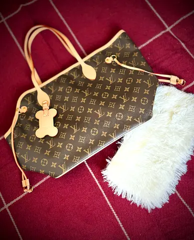 Louis vuitton neverwoof MM
