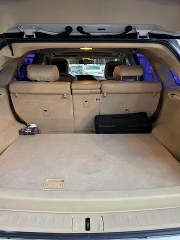 2009 Lexus RX-SERIES — фото 10