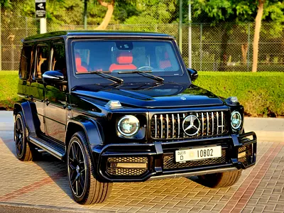 2008 Mercedes-BENZ G-CLASS — миниатюра 2