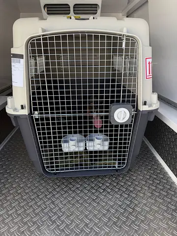 IATA Approved Jumbo Dog Travel Crate – 121 × 82 × 90 cm