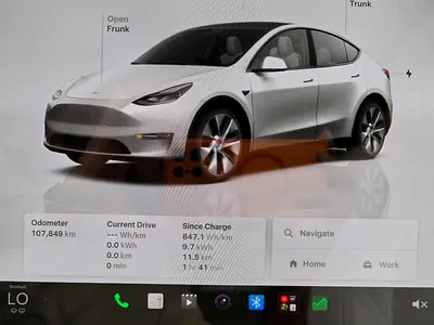 2024 Tesla MODEL Y 照片 9