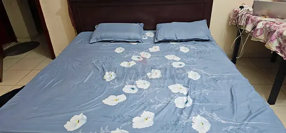 Furnished Room for Executive Bachelor