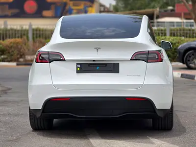 Tesla Model Y Long Range, миниатюра 15