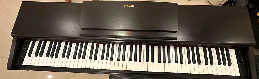 Yamaha digital piano with 88 weighted keys (dark wood finish)