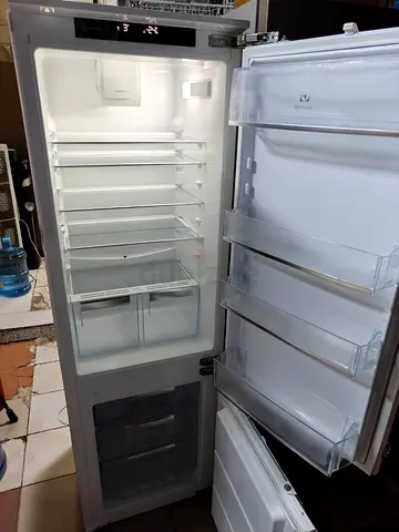 Electrolux latest model bottom.freezer fridge built-in fully-integrated model best option