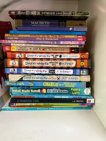 Bundle of Children's Chapter Books and Classics (Diary of a Wimpy Kid, Roald Dahl, Picture Books)