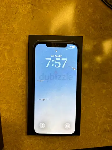 iPhone 12 Pro Max - 128 GB
