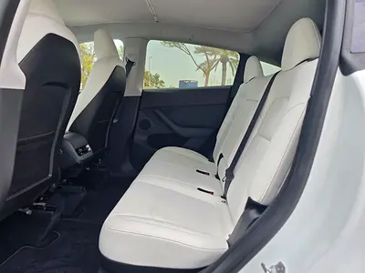 2024 Tesla MODEL Y 照片 10