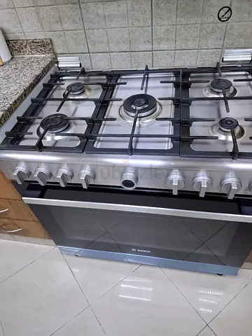 Stove with oven
