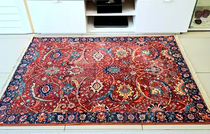 Used Persian-style decorative area rug — good condition