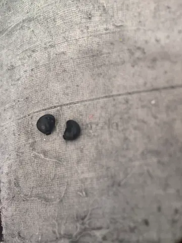 Samsung Galaxy Buds 2 Pro wireless earbuds (without case)