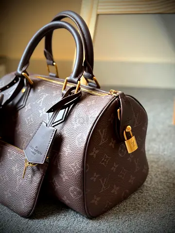 Louis vuitton speedy P9 bag