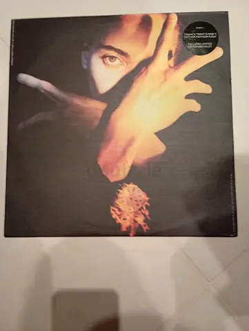 Terence Trent D'arby -neither fish not flesh