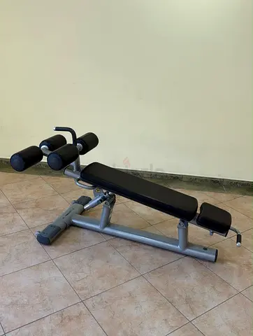 Life Fitness Adjustable Abdominal Bench