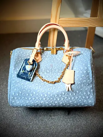 Louis vuitton speedy soft 30 bag