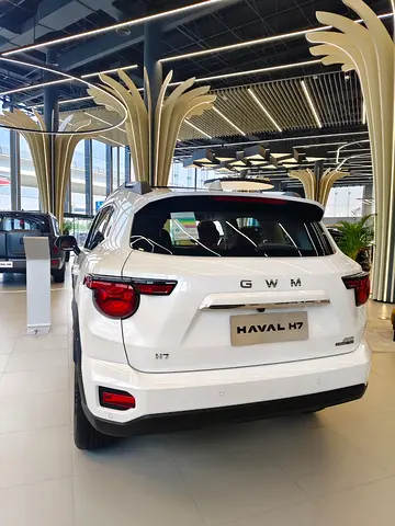 Haval H7 High Deluxe, миниатюра 10