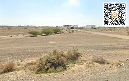 Affordable Villa Plot | 4,387 sq ft | G+1 Permitted | Direct from Owner | Al Manama 8