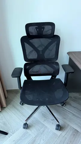 Ergonomic Mesh Office Chair with Headrest - Black