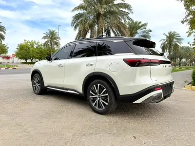 2024 Infiniti QX60 照片 4