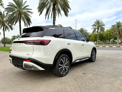 2024 Infiniti QX60 照片 5