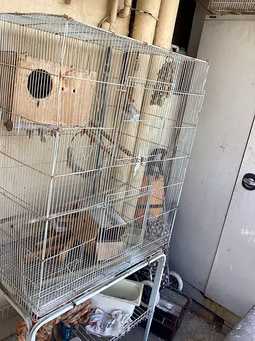 Big cage with stand and all accessories for sale