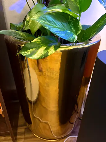 Large Gold Metallic Plant Pot with plant / Decorative Planter