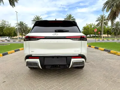 2024 Infiniti QX60 照片 7