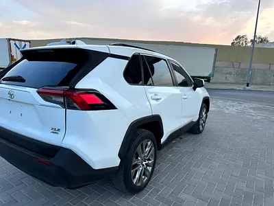 2019 Toyota RAV 4 照片 6