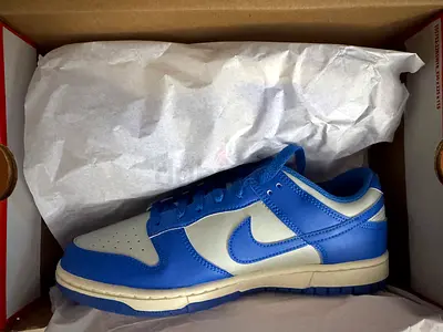 Nike Dunk Low Detroit Lions (US 9.5)